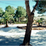 Escuela de verano tenis en Riba-roja: juego, valores y nuevas amistades