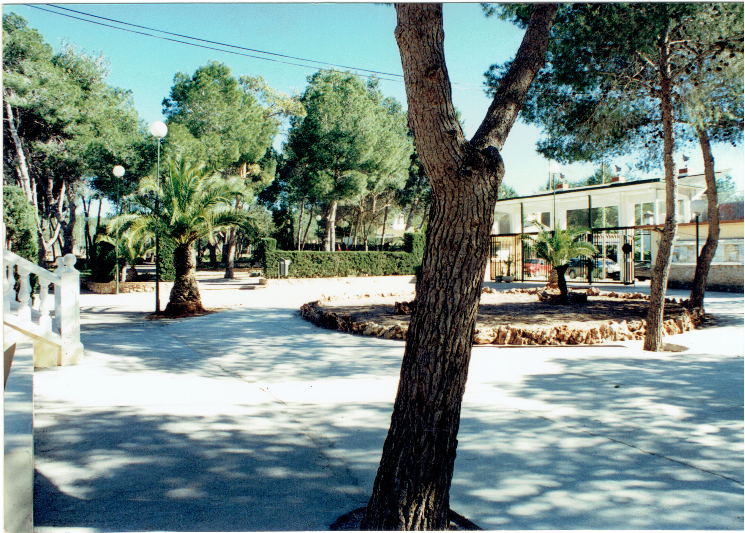 Escuela de verano tenis en Riba-roja: juego, valores y nuevas amistades